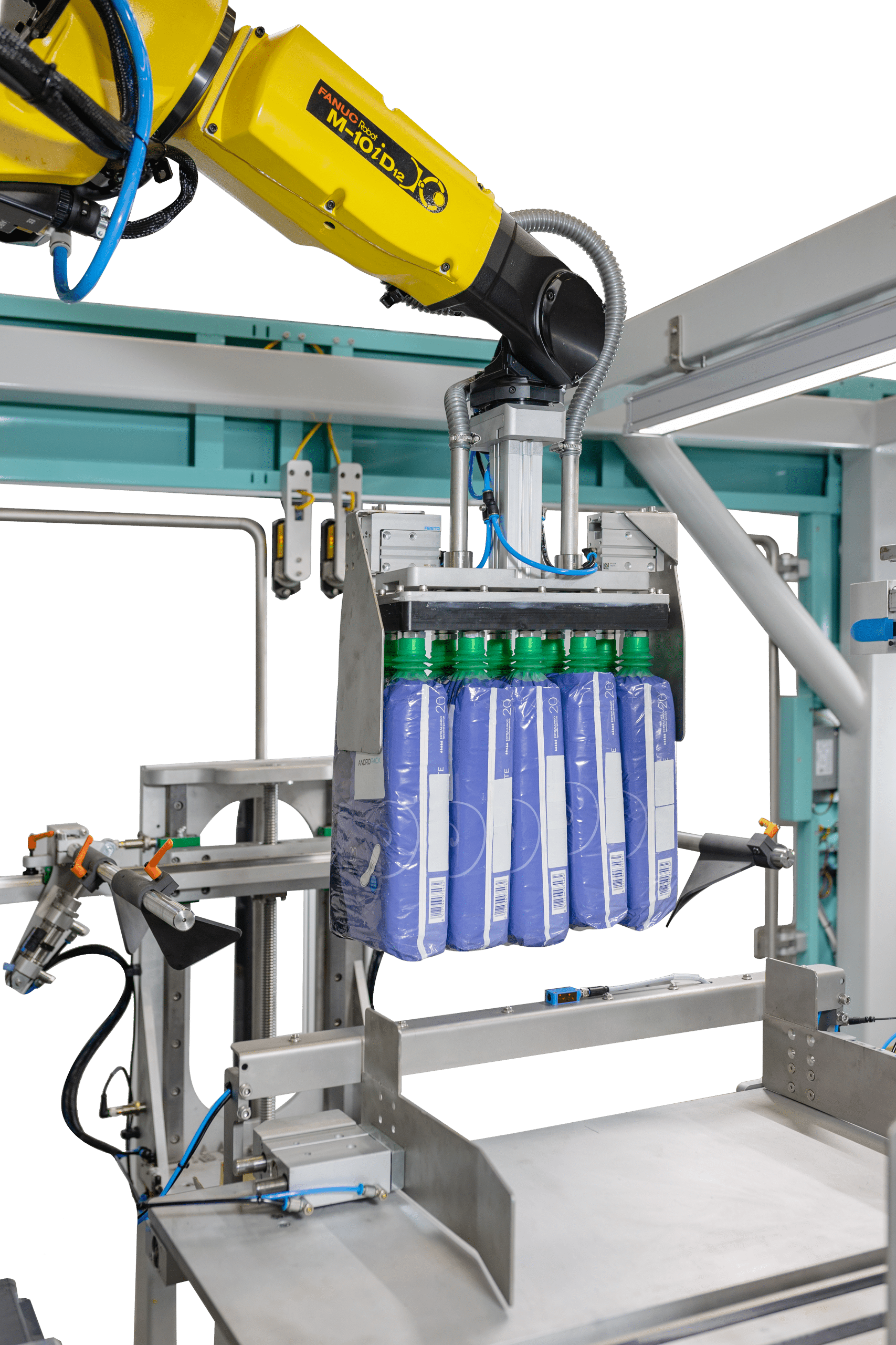 Case Packer